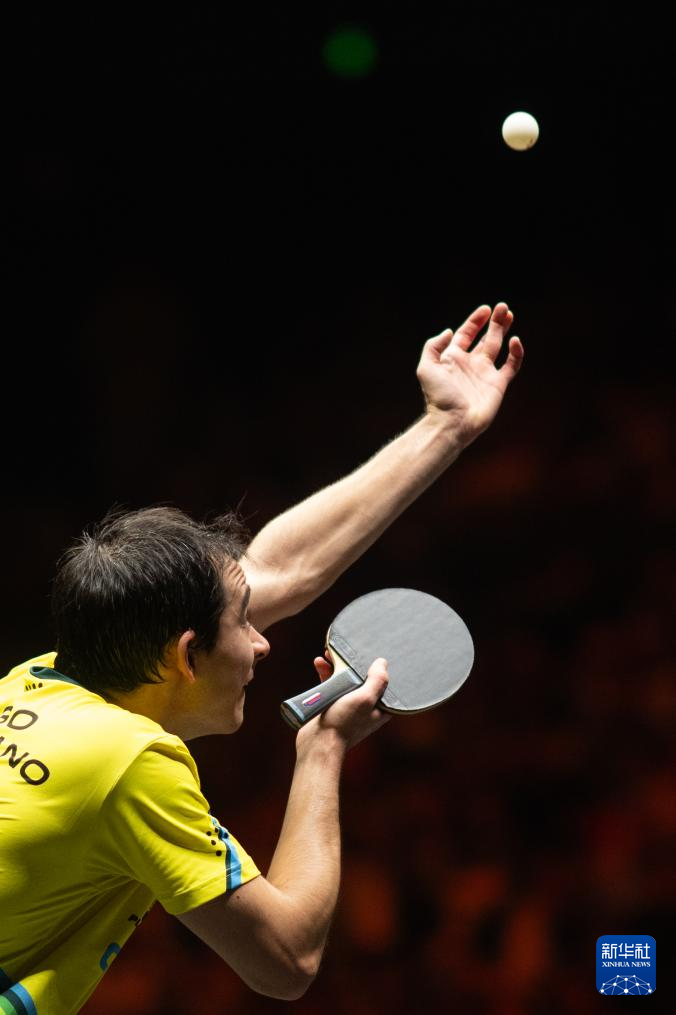 由此可见 由此可见