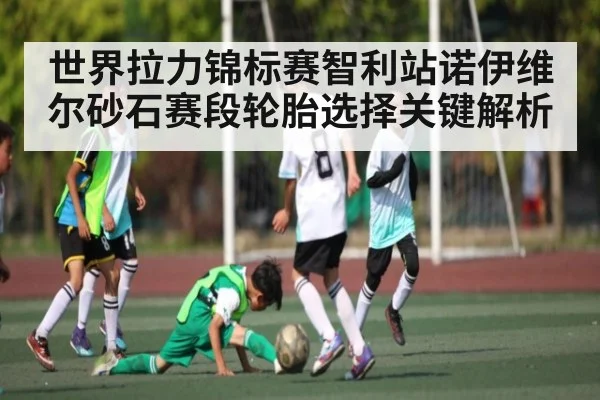 世界拉力锦标赛智利站诺伊维尔砂石赛段轮胎选择关键解析（WilliamHill.com）